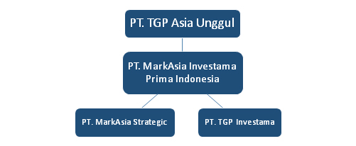 struktur-markasia-inves
